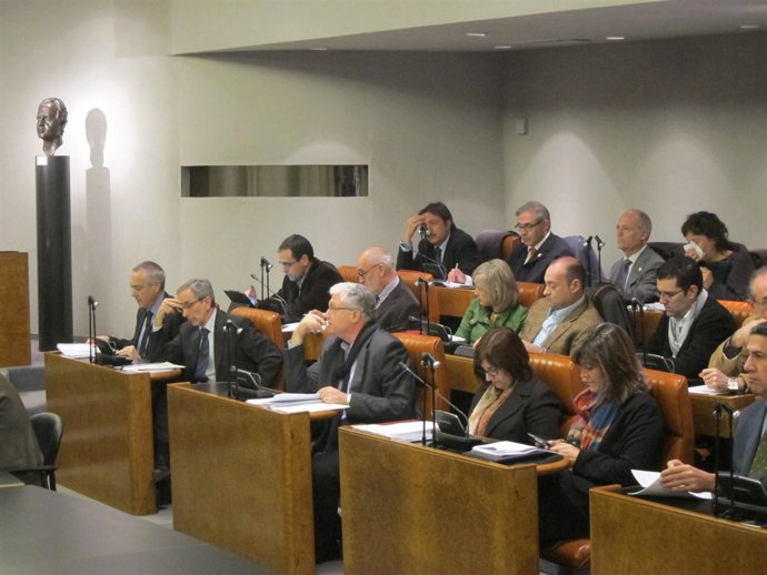 Grupo socialista de la Diputación en el pleno, al que no ha acudido Manel Bustos