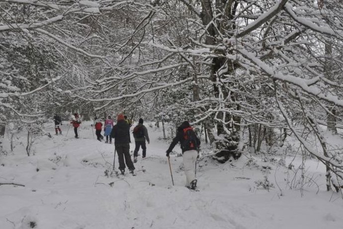Raquetas en la nieve