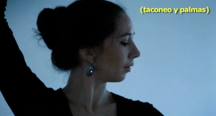 Los subtítulos permitirán el acceso a todos los elementos del flamenco