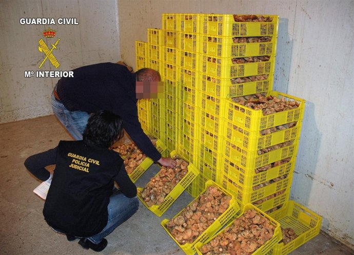 Imagen de los efectos sustraídos del vivero