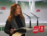 PSOE-A: PP-A usa el Parlamento como "altavoz" para denunciar casos como Invercaria