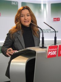 PSOE-A estudiará medidas legales si no se convoca Ejecutiva de la FAMP en 12 días