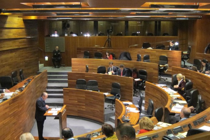 Pleno de la Junta General