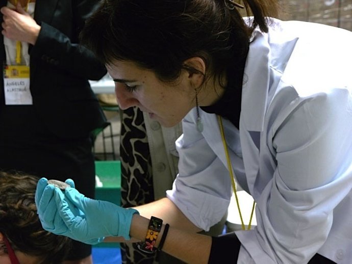 Equipo Técnico Examina El Tesoro De La Fragata Nuestra Señora De Las Mercedes