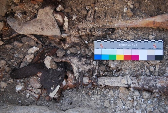 Excavación Fundación Grupo Siro