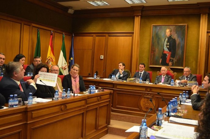 Pleno de la Diputación Provincial de Almería