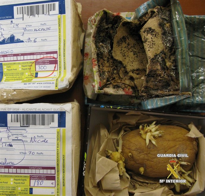 Efectos intervenidos a los detenidos por estafa en Guardamar 