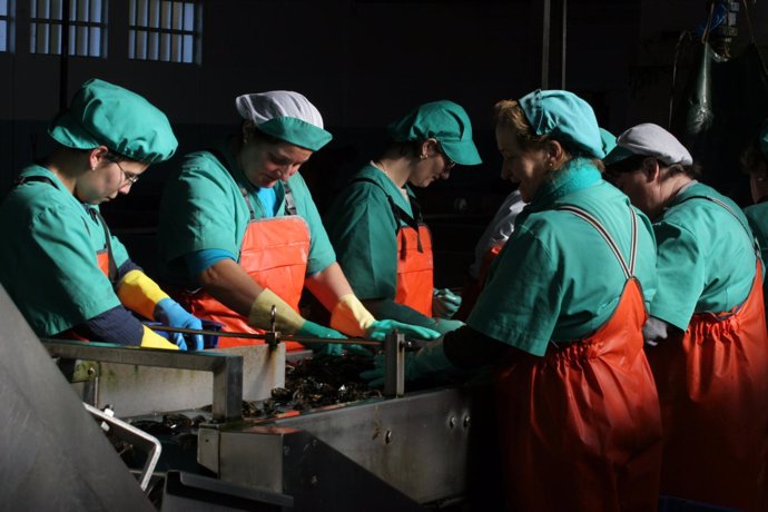 Mujeres Trabajando