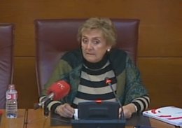 La diputada socialista Cristina Pereda