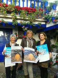 Los patios de Córdoba volverán a abrir sus puertas para celebrar la Navidad