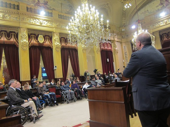 Pleno extraordinario discapacitados