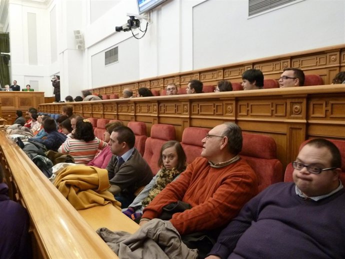 Pleno de discapacidad en las Cortes de C-LM