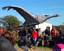 Festival de las Grullas