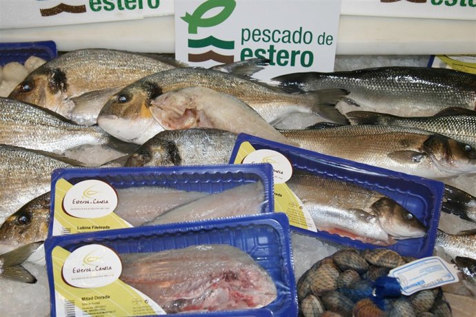 Pescado de estero