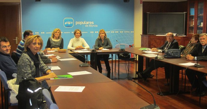 Comisión Mayores PP