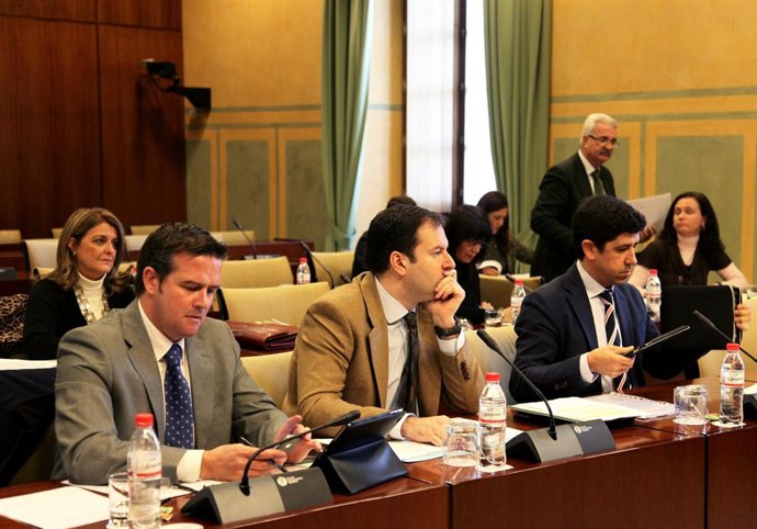 Diputados en la Comisión de Administración Local del Parlamento