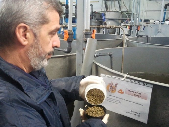 Andrés Moñino, técnico de laboratorio del GAB-ICTA      