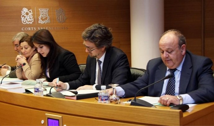 Maritina Hernández en comisión en las Corts