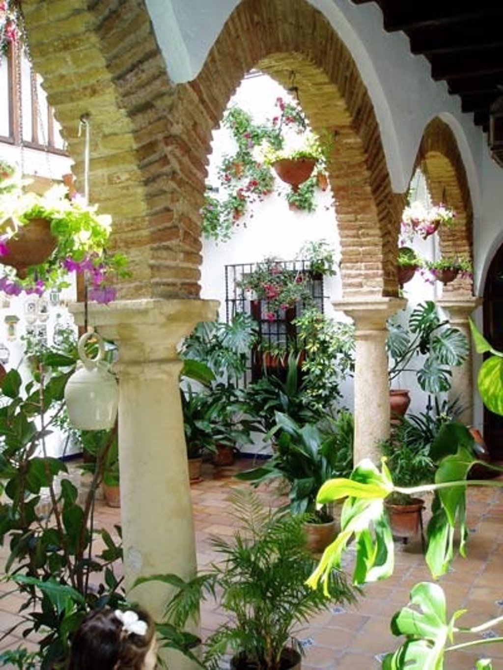 La Unesco declara la Fiesta de los Patios de Córdoba Patrimonio