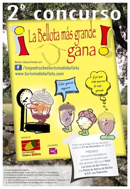 Cartel del concurso