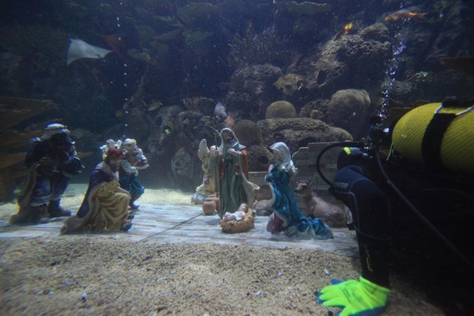 Belén acuático en el Oceanogràfic