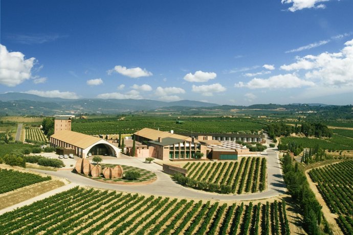 Bodegas Juvé Y Camps