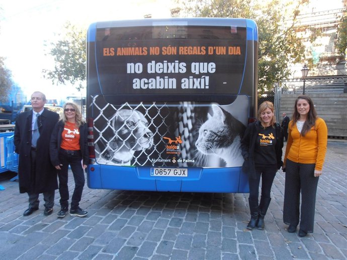 Campaña concienciación animales compañía        