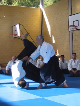 Curso de Aikido en la Ciudad Deportiva de Diputación