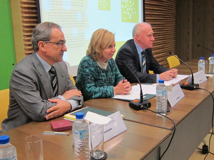 Por la izquierda, Bruno, Felgueroso y Blanco, en las jornadas.