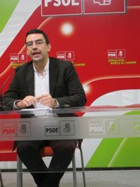 El PSOE-A cree que "no se puede generalizar" con las cesantías y pide "tranquilidad y sosiego"