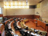 PP y PSOE apoyan una enmienda de IU que detrae 50.000 euros de los Ceres y los destina al Consorcio de Mérida