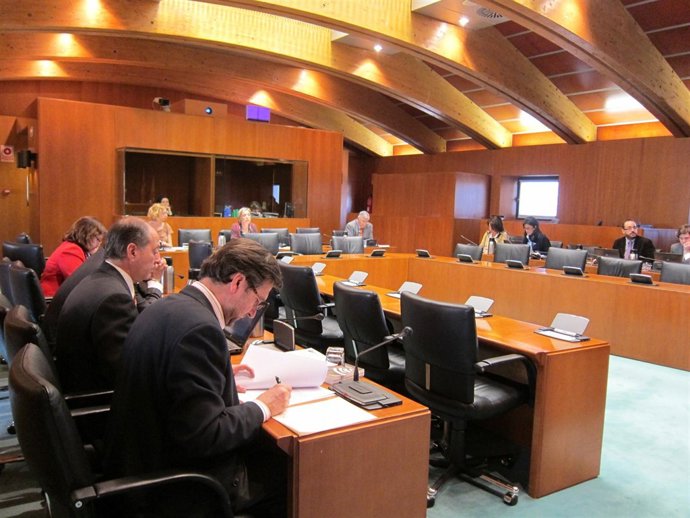 Comisión De Sanidad, Bienestar Social Y Familia De Las Cortes De Aragón