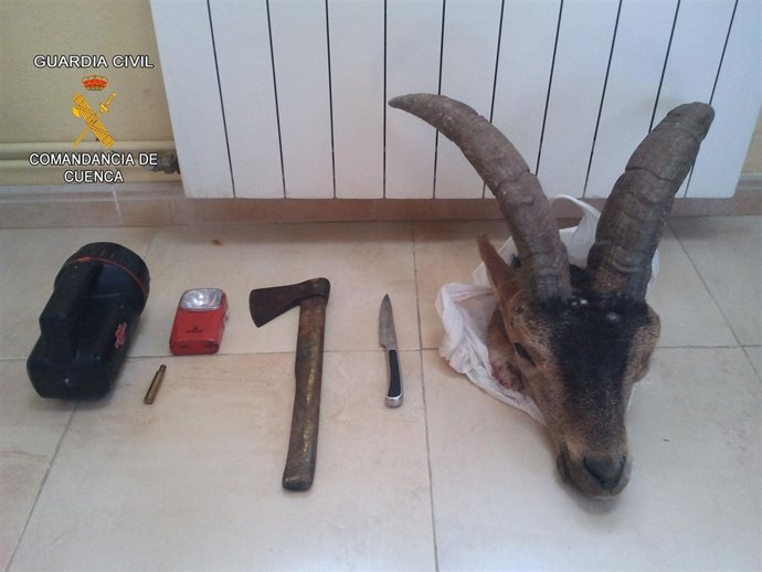 Restos de la cabra montés