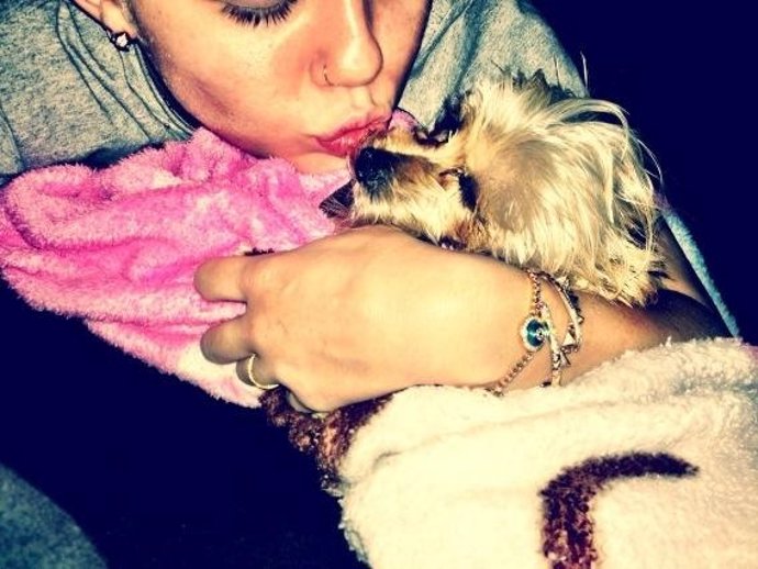Miley Cyrus y su perrita Laila