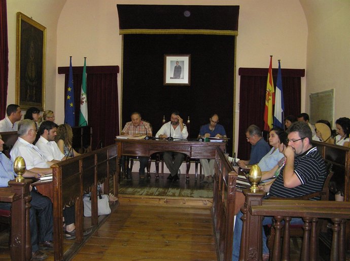 Pleno del Ayuntamiento de Carmona. 