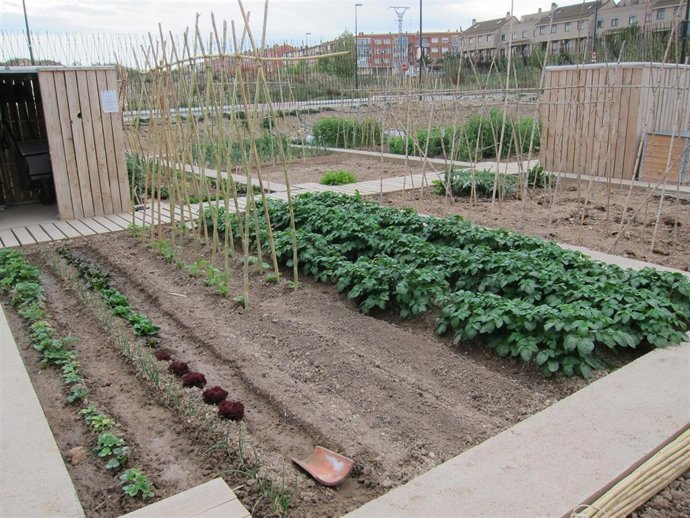 Huerto social urbano
