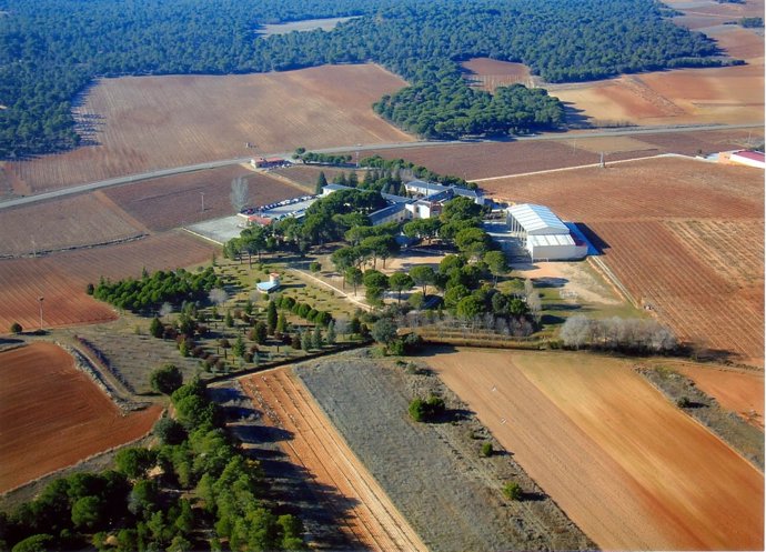 Vista aérea de la bodega San Gabriel.