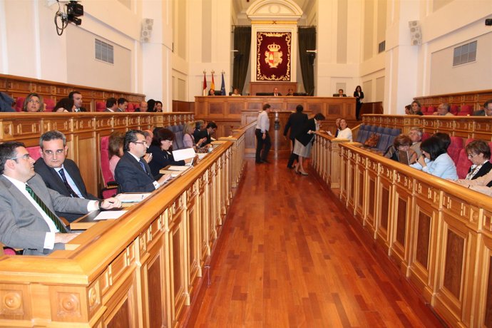 Cortes de Castilla-La Mancha ( Toledo )