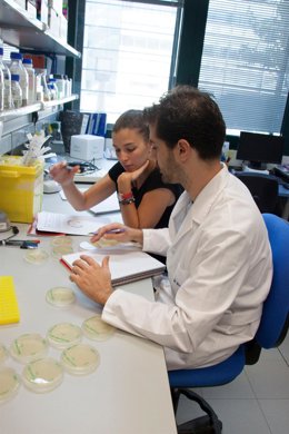 Investigadores trabajando en su laboratorio