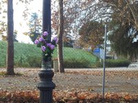 La madre de una víctima consigue más de 12.430 firmas en Internet para impedir una nueva fiesta de Flores