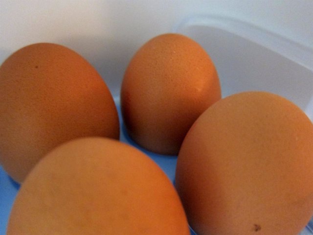 Huevos, Salmonela