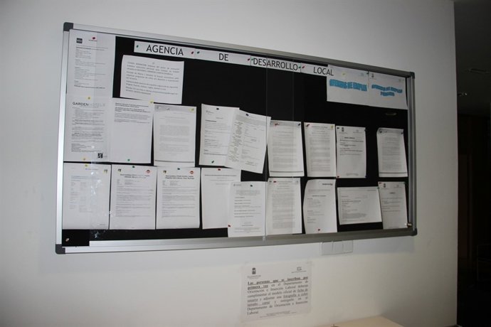 Proceso de selección