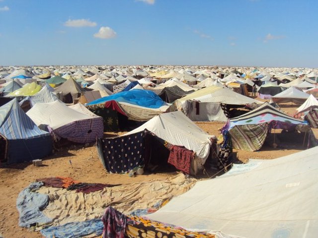 Azúcar Sahara Tindouf, campamentos