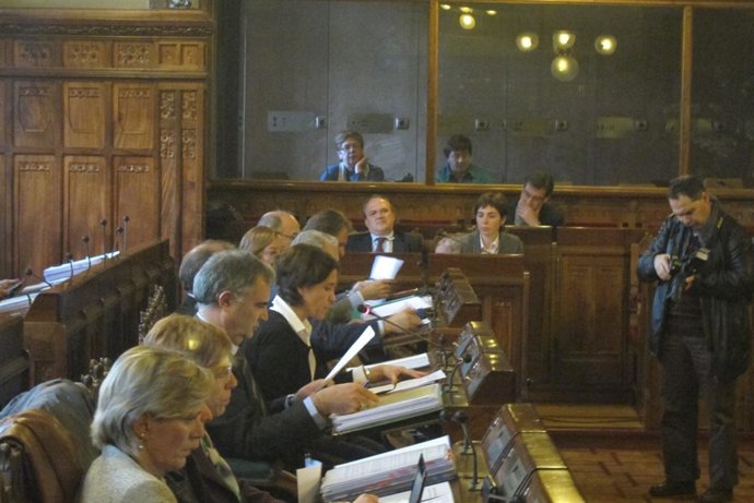 Comparecencia Dolores Carcedo