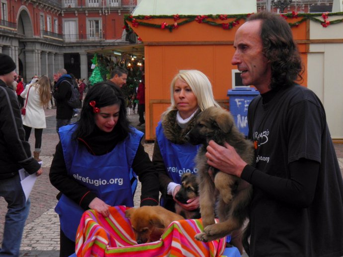 El presidente y voluntarias de El Refugio con los cahorros Pin, Pan y Pun