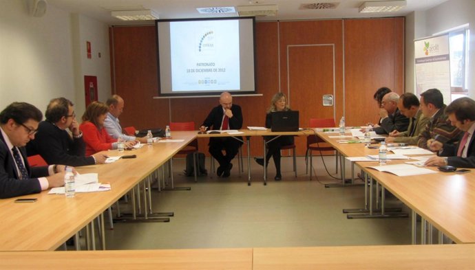 Reunión del Patronato de Citoliva que ha aprobado el plan de actuación de 2013.