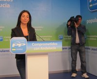 PP-A urge a Griñán a decir "cómo y cuándo" se van a sentar las fuerzas políticas para un acuerdo por Andalucía