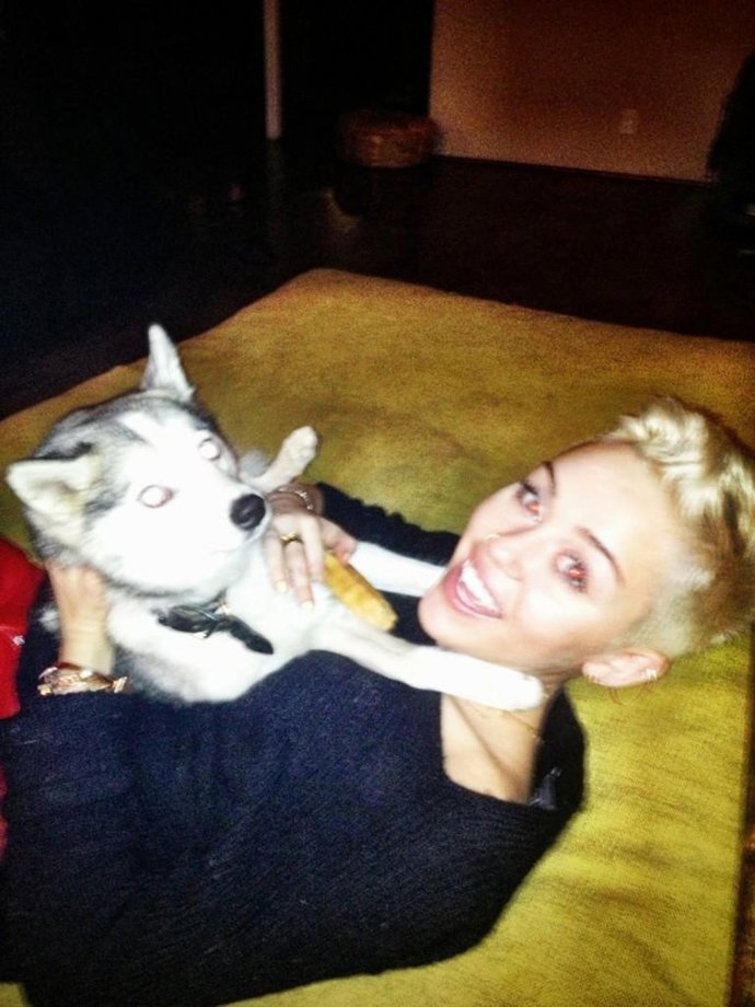 Miley Cyrus y perro