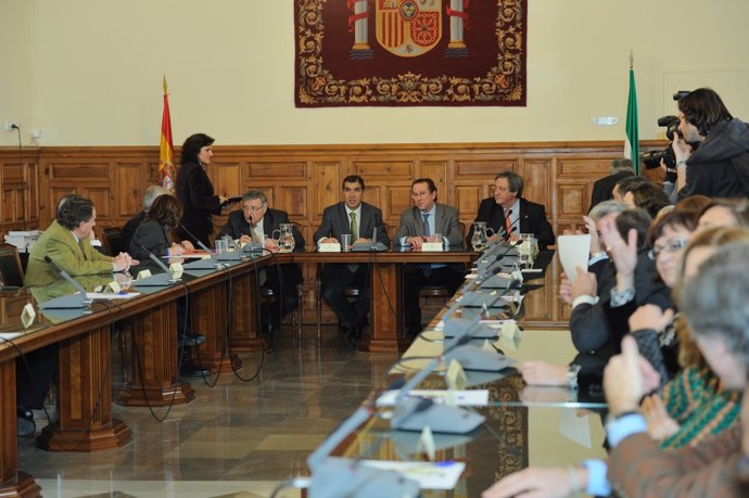 Fotos Consejero De Interior Y Justicia En Pleno Del TSJA En Granada