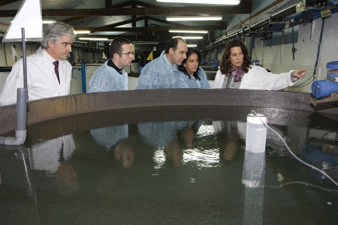 Ignacio Diego visita las intalaciones del Grupo Tinamenor